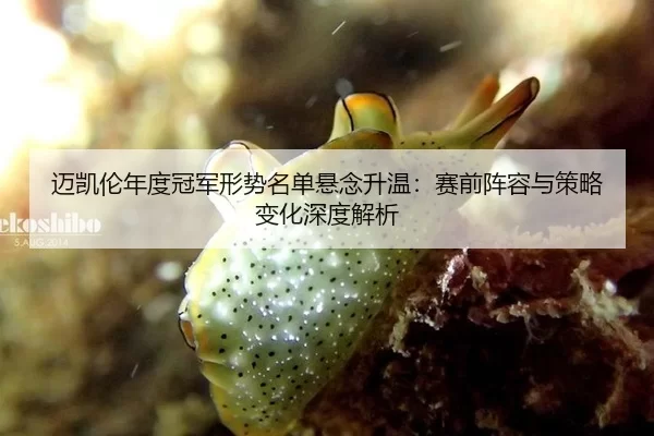 迈凯伦年度冠军形势名单悬念升温：赛前阵容与策略变化深度解析